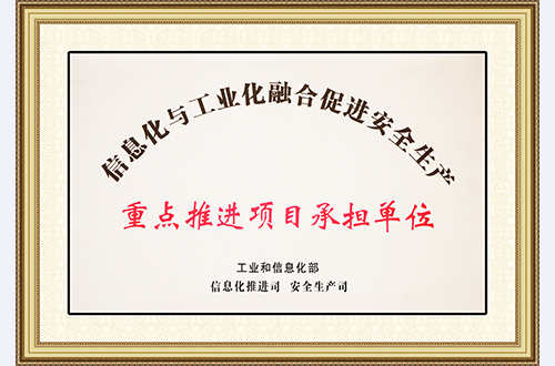 信息化重点推进项目承担单位